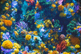 Colorful coral reef with various types of corals and marine life.
